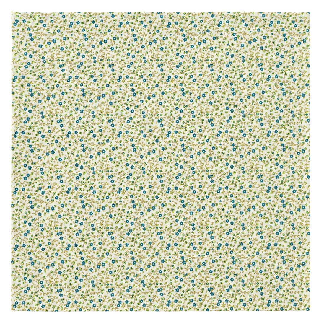 Charlo's Set of 4 Green 100% Cotton Floral Cerrado Cloth Napkins 15" by 15"