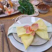 Charlo's Set of 4 Sustainable Rectangular Braided Jute Placemats 18