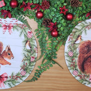 Set of 4 Round Placemats Covers Christmas Squirrel Cloth 14