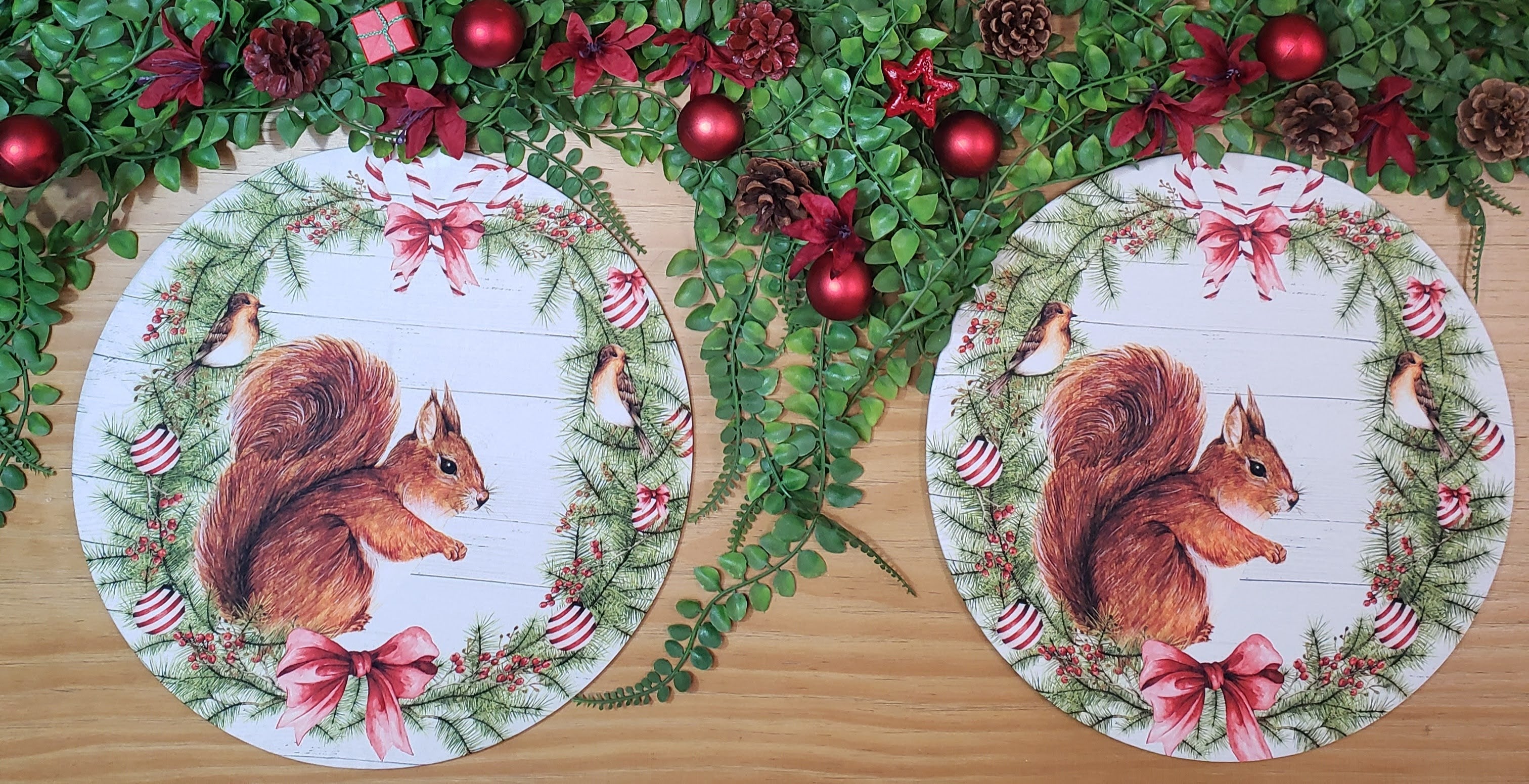 Set of 4 Round Placemats Covers Christmas Squirrel Cloth 14