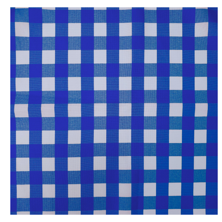 Charlo's Synthetic Cloth Napkins Set of 4 Plaid Blue 16" by 16"