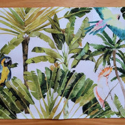 Charlo's Set of 4 Waterproof Rectangular Placemats Brazilian Parrot 17X13