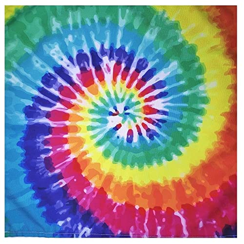 Charlo's Cloth Napkins  Set of 4 Tie Dye 16