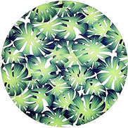 Set of 4 Round Placemats Covers Monstera Leaf Reply 14 Dia inch