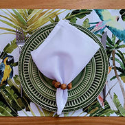 Charlo's Set of 4 Waterproof Rectangular Placemats Brazilian Parrot 17X13