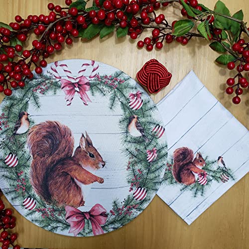 Set of 4 Round Placemats Covers Christmas Squirrel Cloth 14