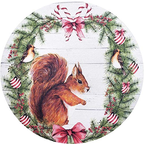 Set of 4 Round Placemats Covers Christmas Squirrel Cloth 14