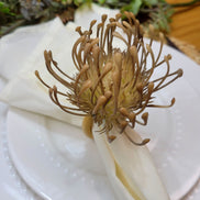 Set of 4 Beige Rustic Savanna Flower Napkin Rings