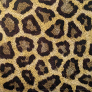 Set of 4 Waterproof Rectangular Placemats Wild Jaguar 17X13